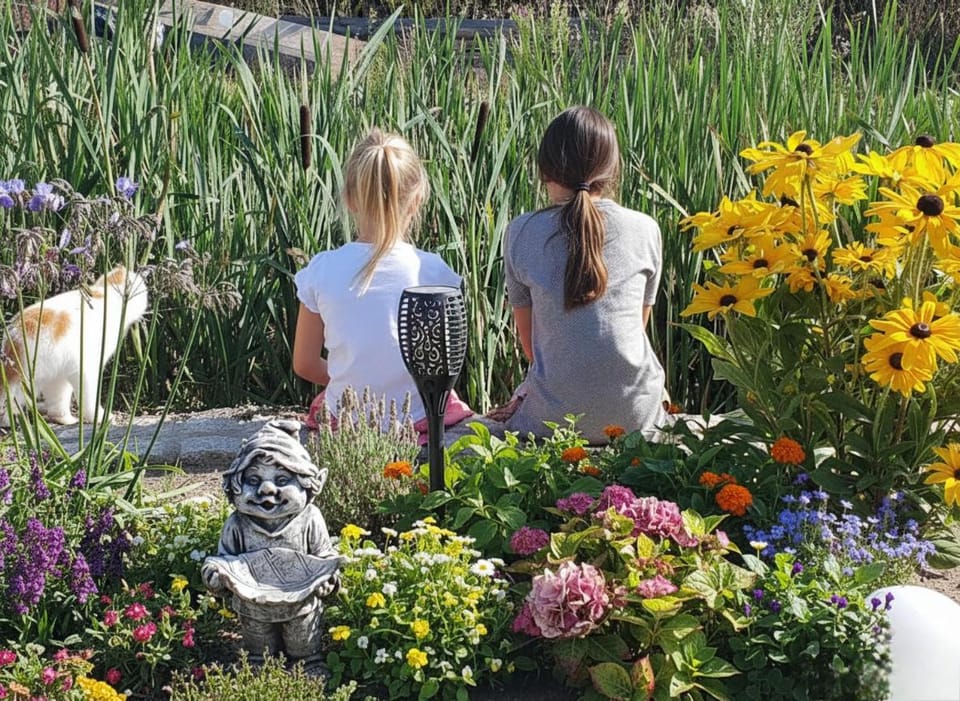 Garden, Garden view