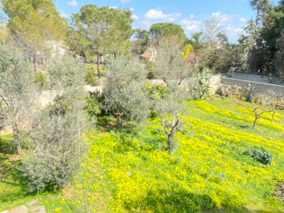 Garden, Garden