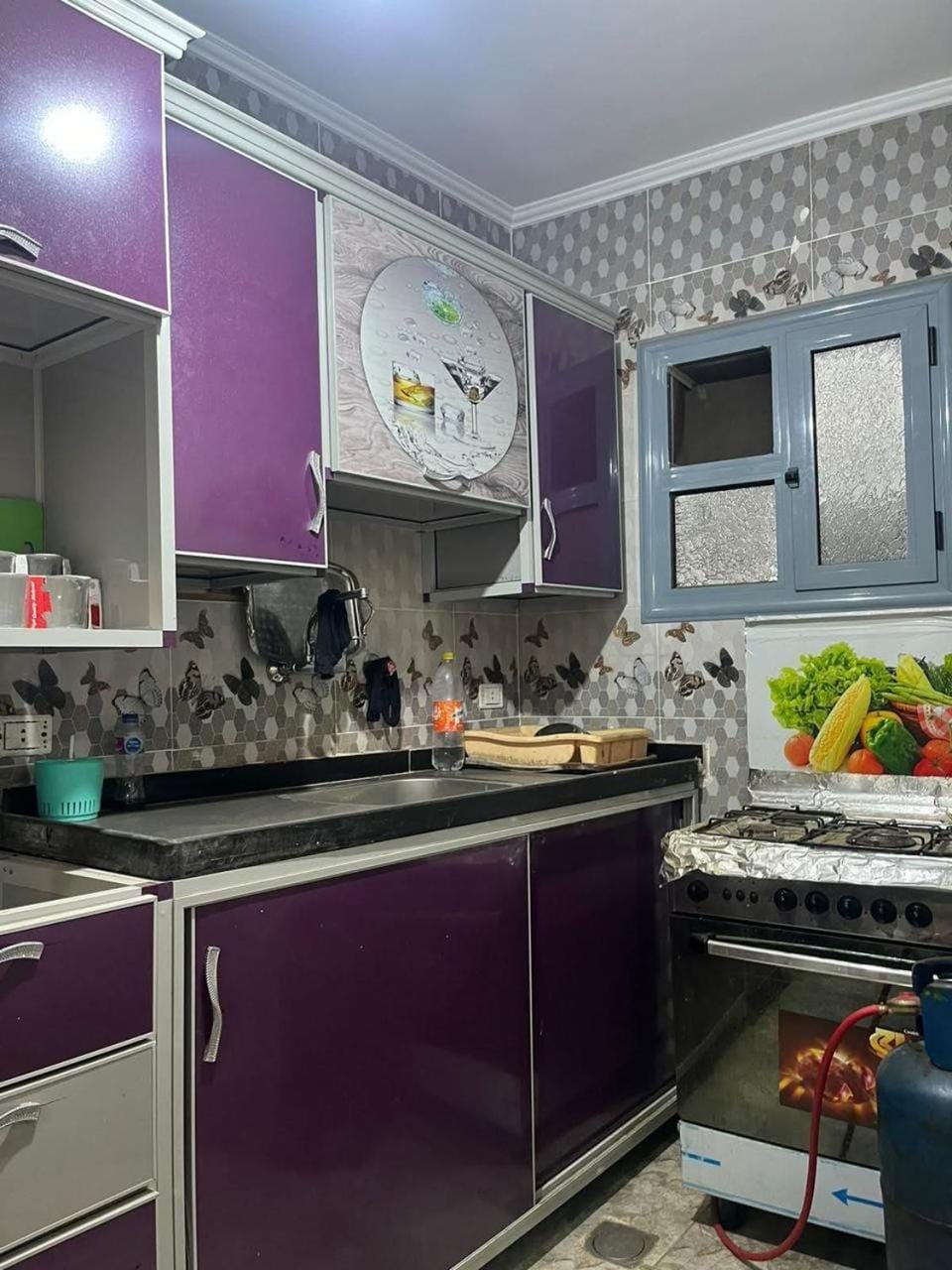 شقه فندقيه للإيجار اليومى Apartment in Alexandria