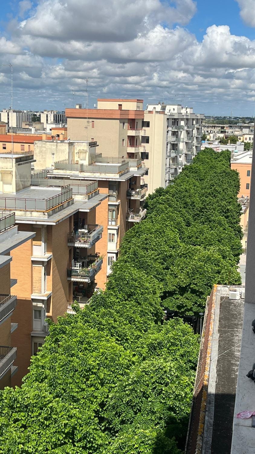 Property building, Spring, Neighbourhood, City view, Street view
