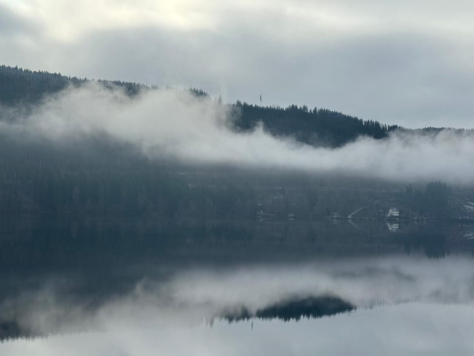 Lake view