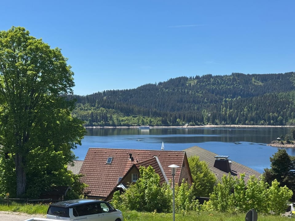 Lake view