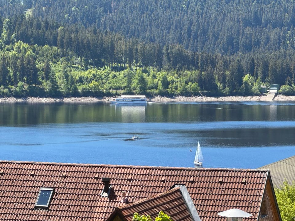 Lake view