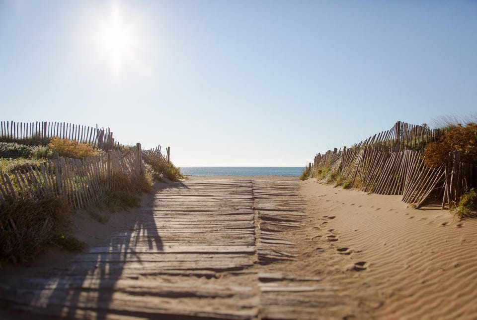 Beach, Beach