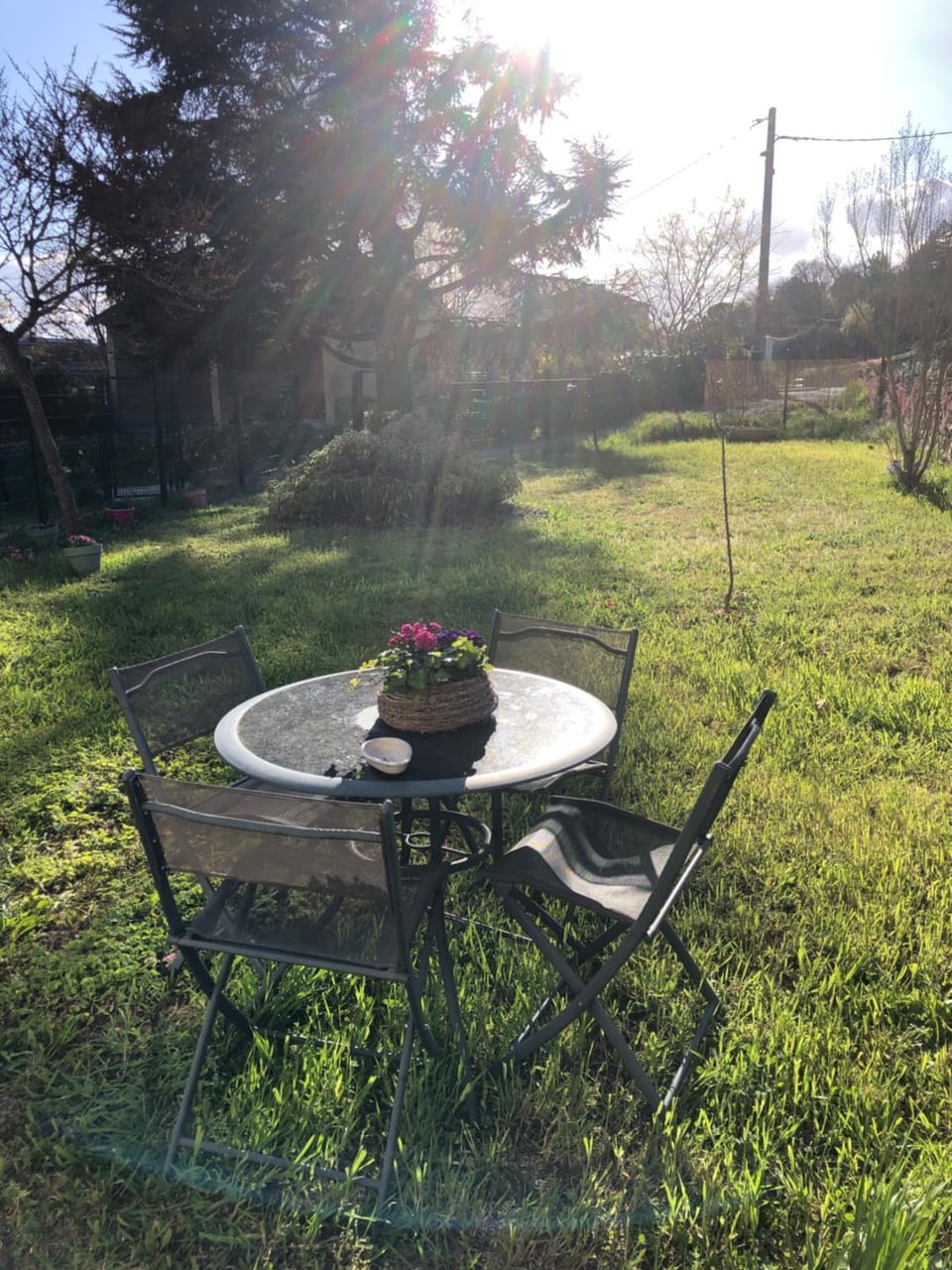 Garden