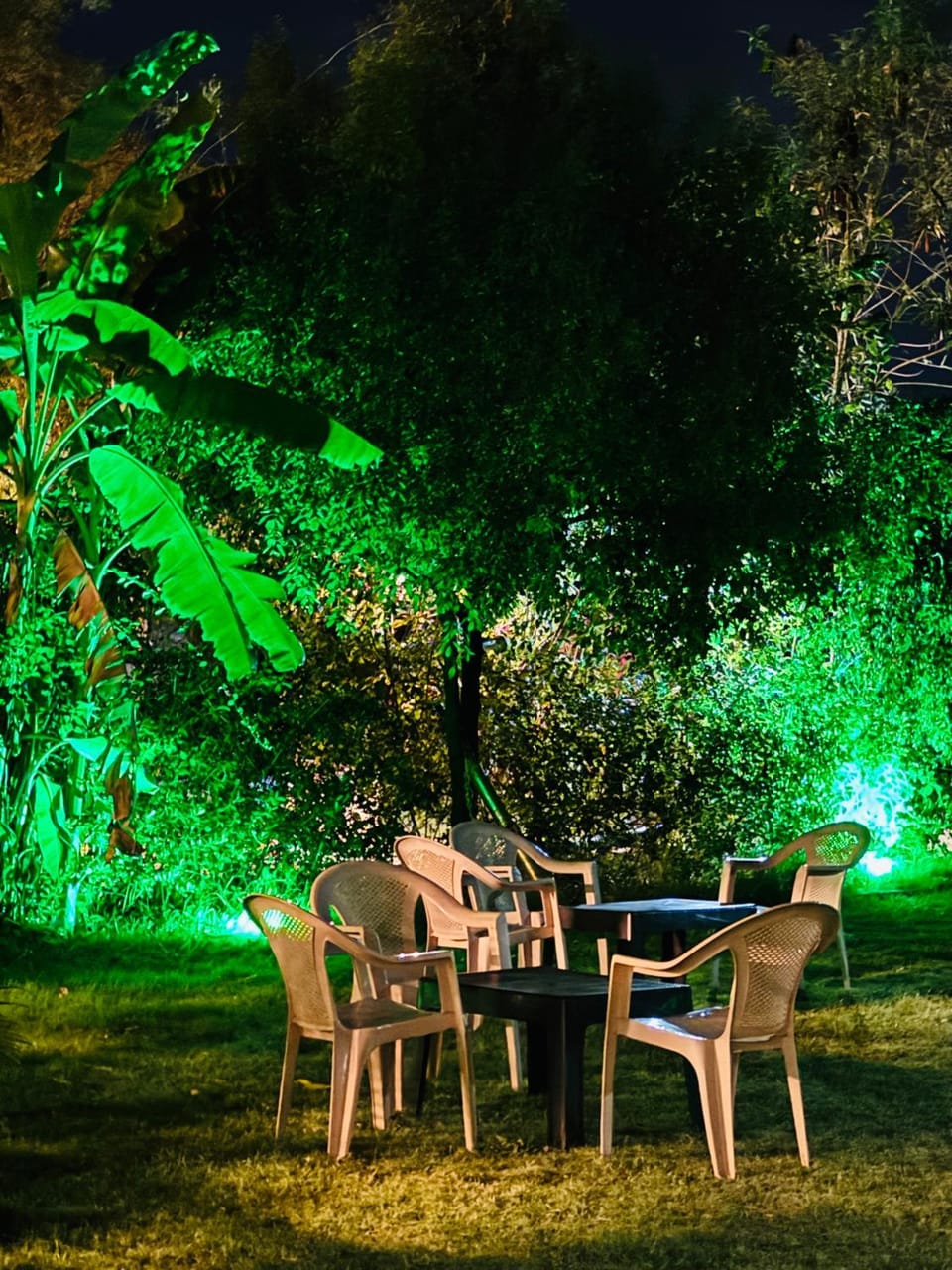 Chandras palace hotel kothar Farm Stay in Rajasthan