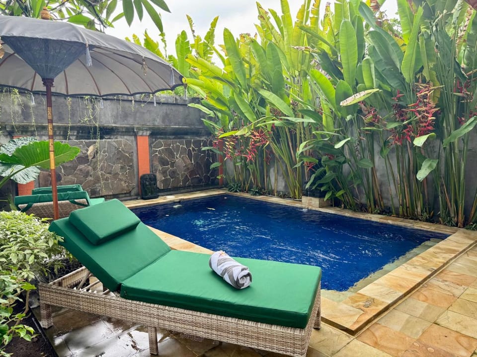 Natural landscape, Garden, Swimming pool, sunbed