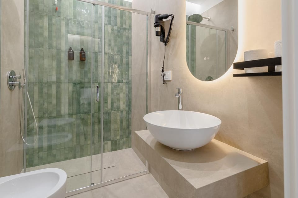 Shower, Toilet, bidet, hair dryier