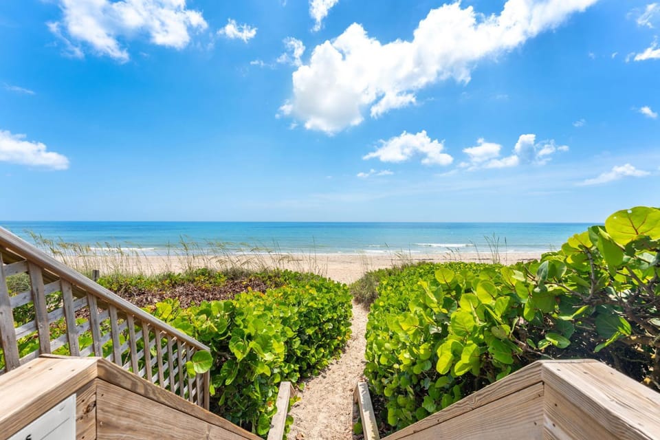 Day, Natural landscape, Garden, View (from property/room), Beach, Sea view