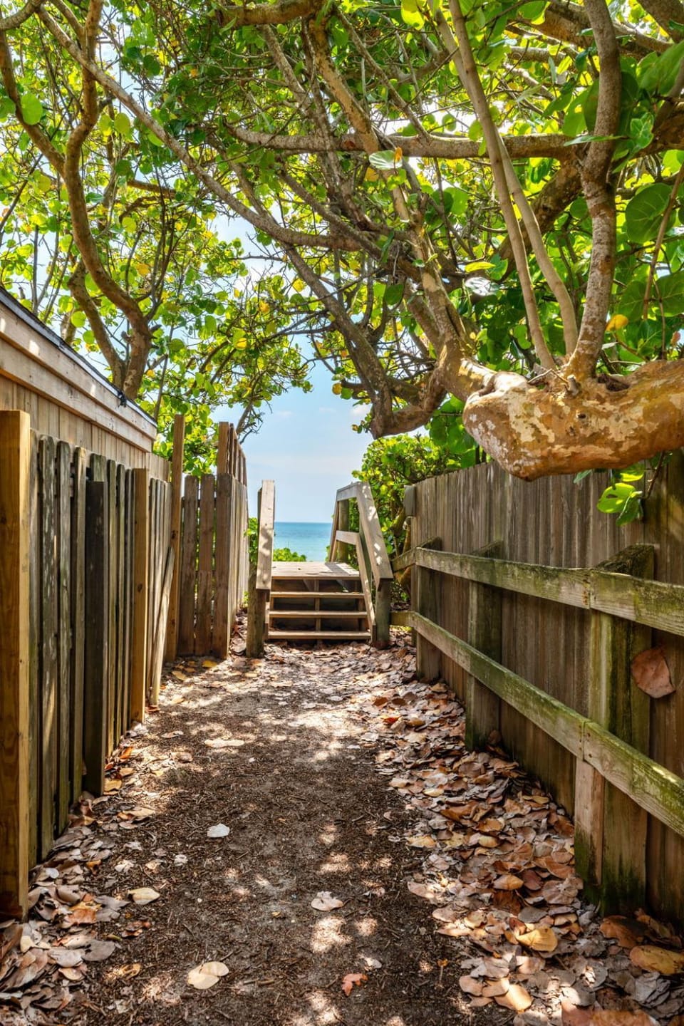Day, Natural landscape, Garden, Beach, Sea view