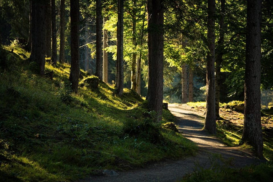 Natural landscape