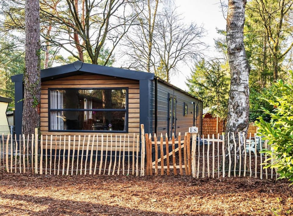 Property building, Garden, Garden view