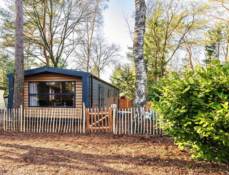 Property building, Garden, Garden view
