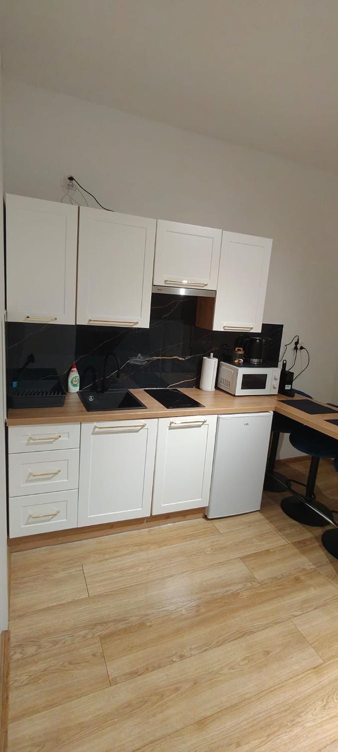 Studio Szafir Apartment in Czechia