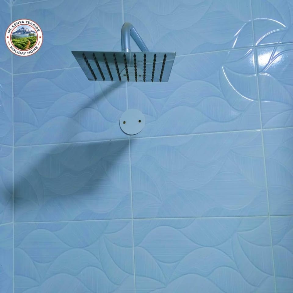 Shower, Bathroom, heating