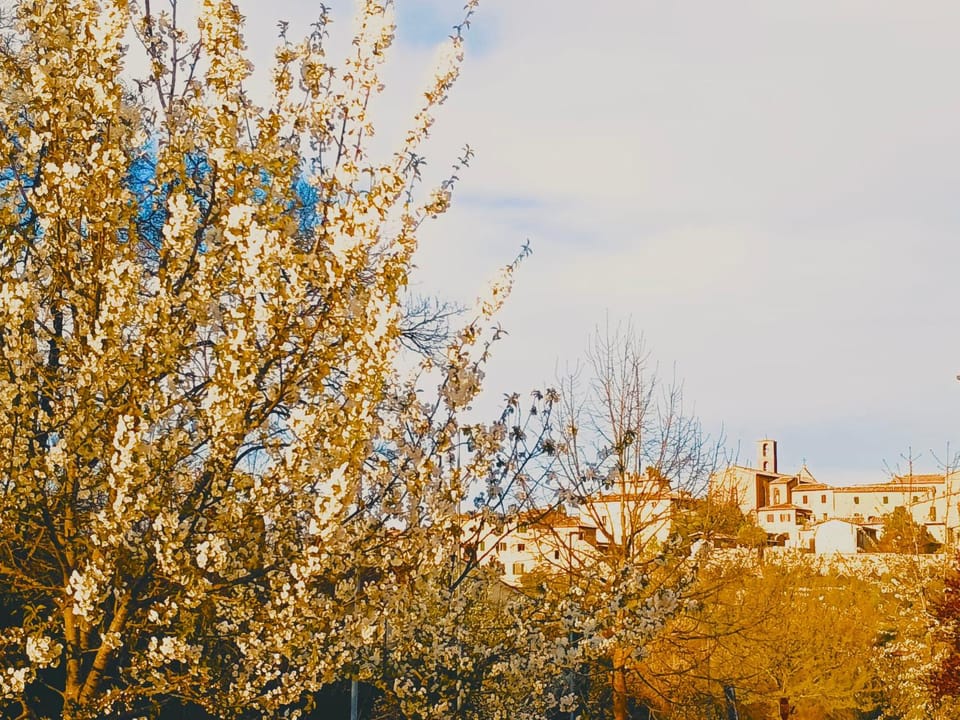 View (from property/room), City view
