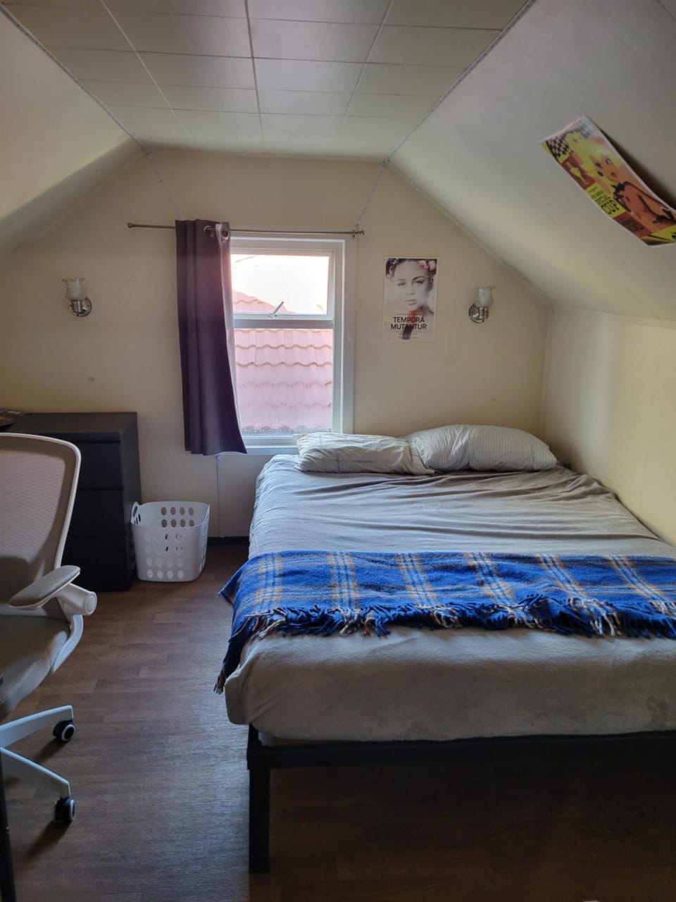 Bed, Photo of the whole room