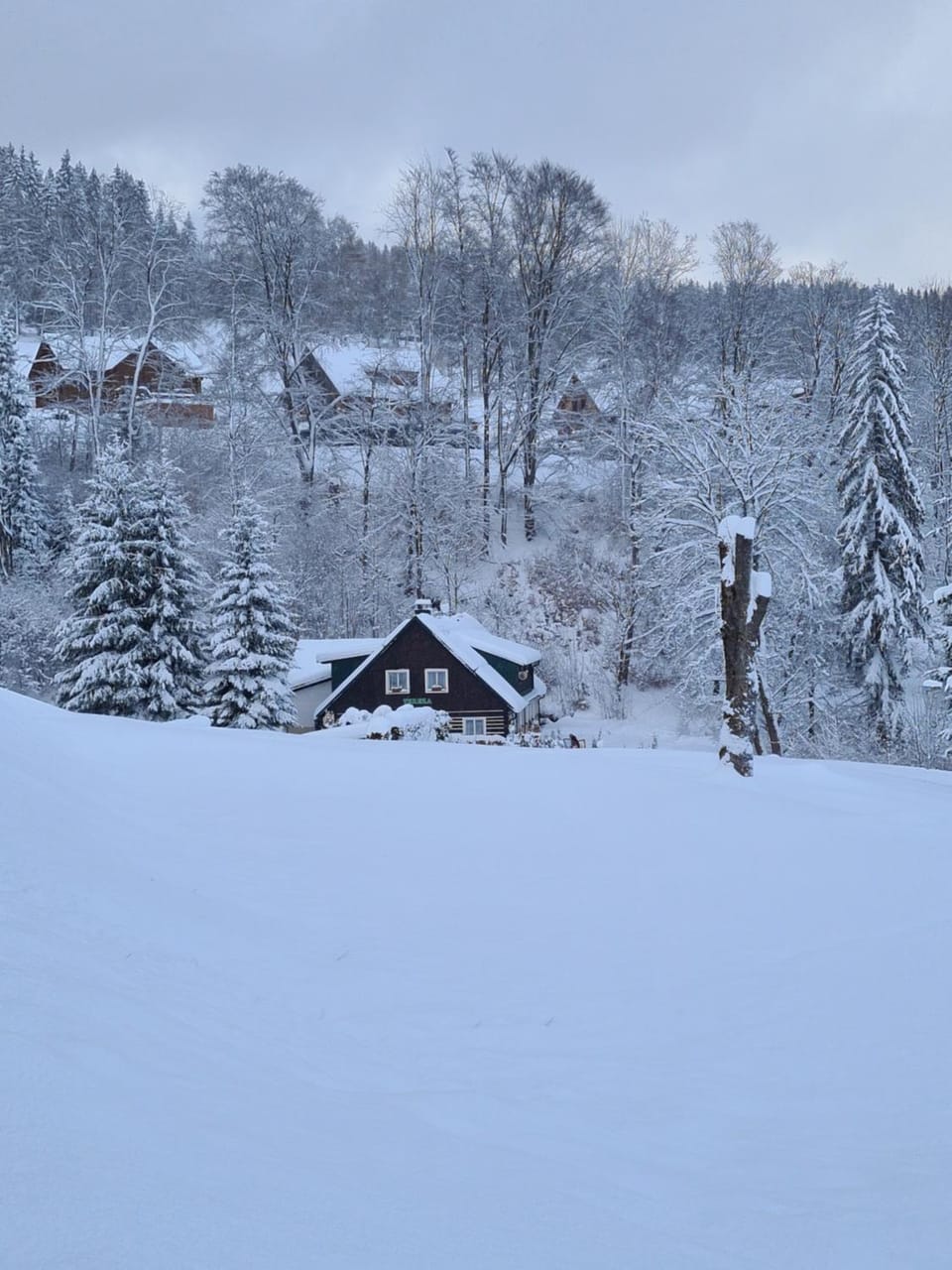 Chata Tereza Bed and Breakfast in Lower Silesian Voivodeship