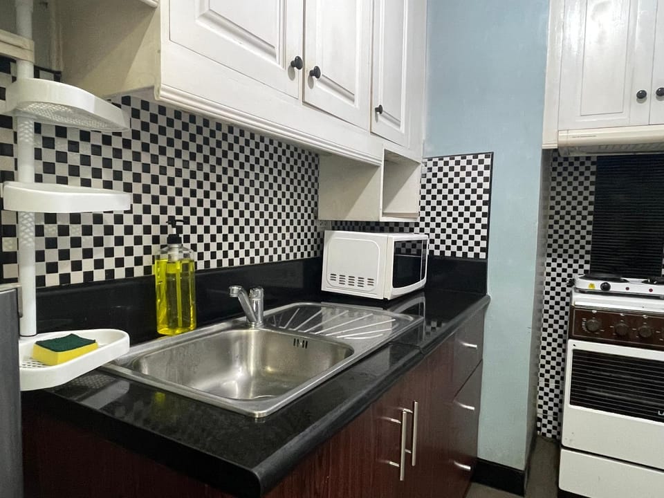 Kitchen or kitchenette, dishwasher, stove