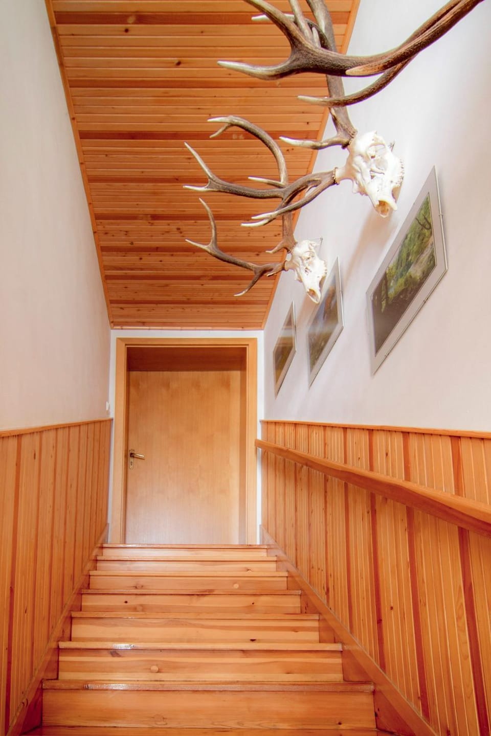 Penzion U Kuboňů Bed and Breakfast in South Bohemian Region