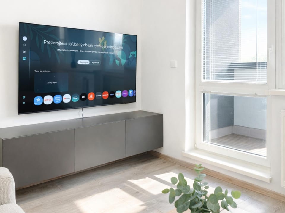 TV and multimedia