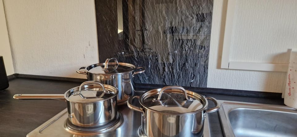 Zentral gelegene Unterkunft in Ingelheim, nahe A60 für Monteure mit Parkplatz Apartment in Mainz-Bingen