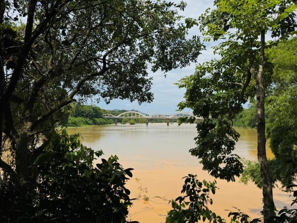 Natural landscape, River view