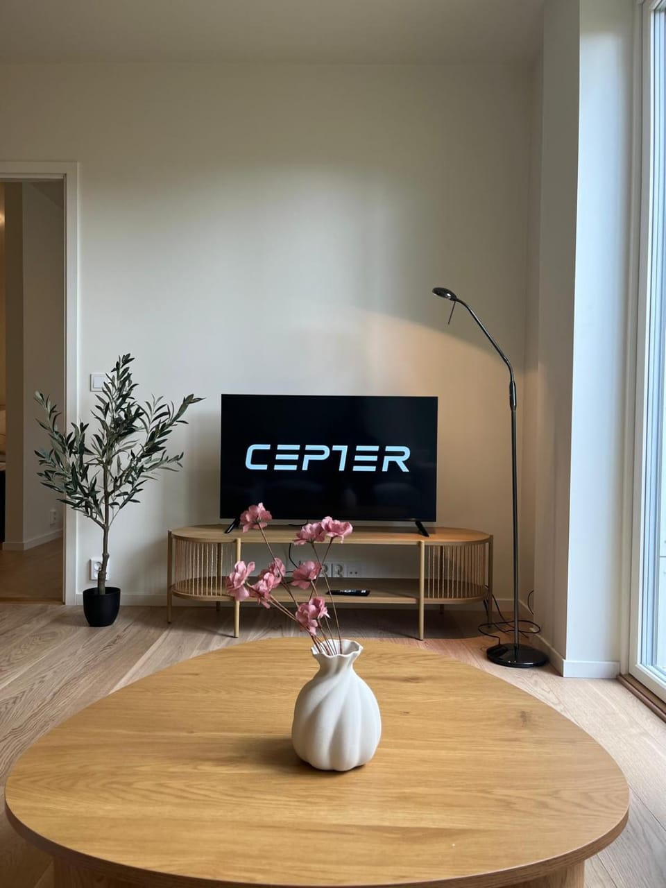 TV and multimedia, Text overlay