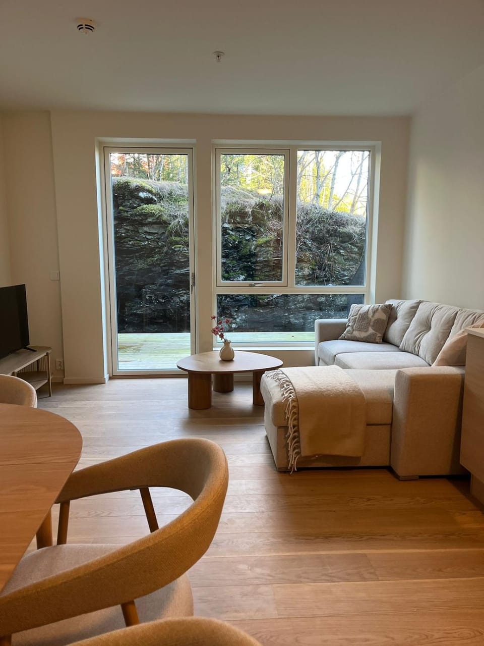 Bed, TV and multimedia, Living room, Photo of the whole room, Seating area, Bedroom