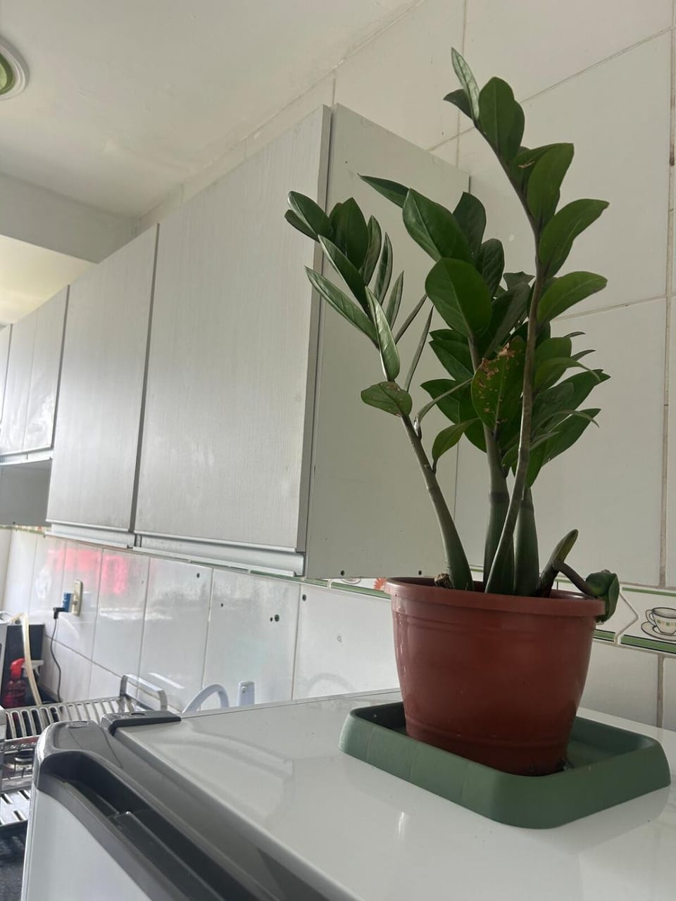 Apartamento aconchegante Apartment in São Luís