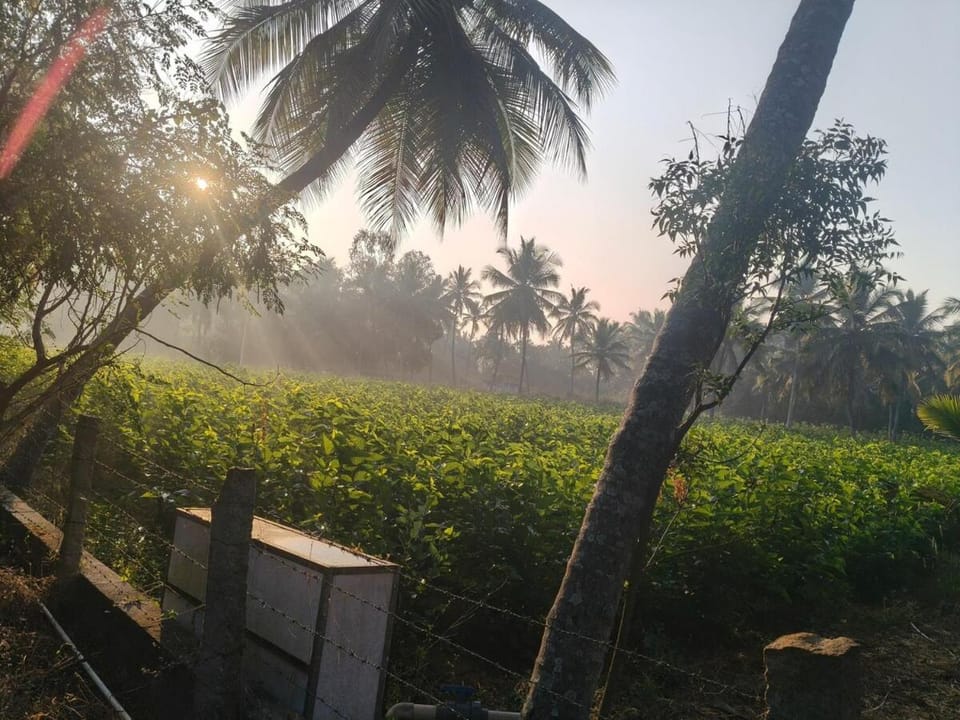 AVANI FARMS A family-owned natural organic farm House in Karnataka