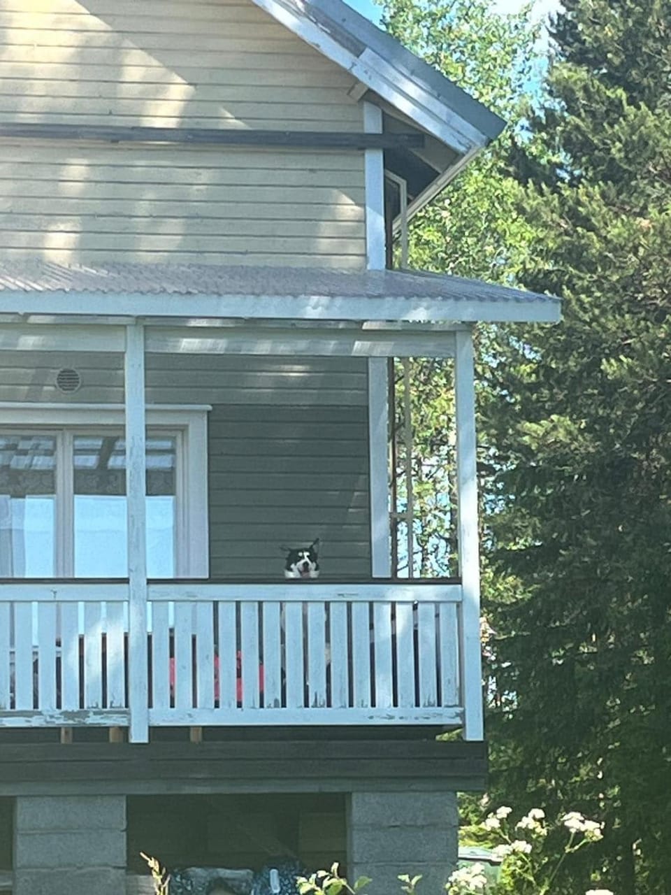 Property building, Balcony/Terrace