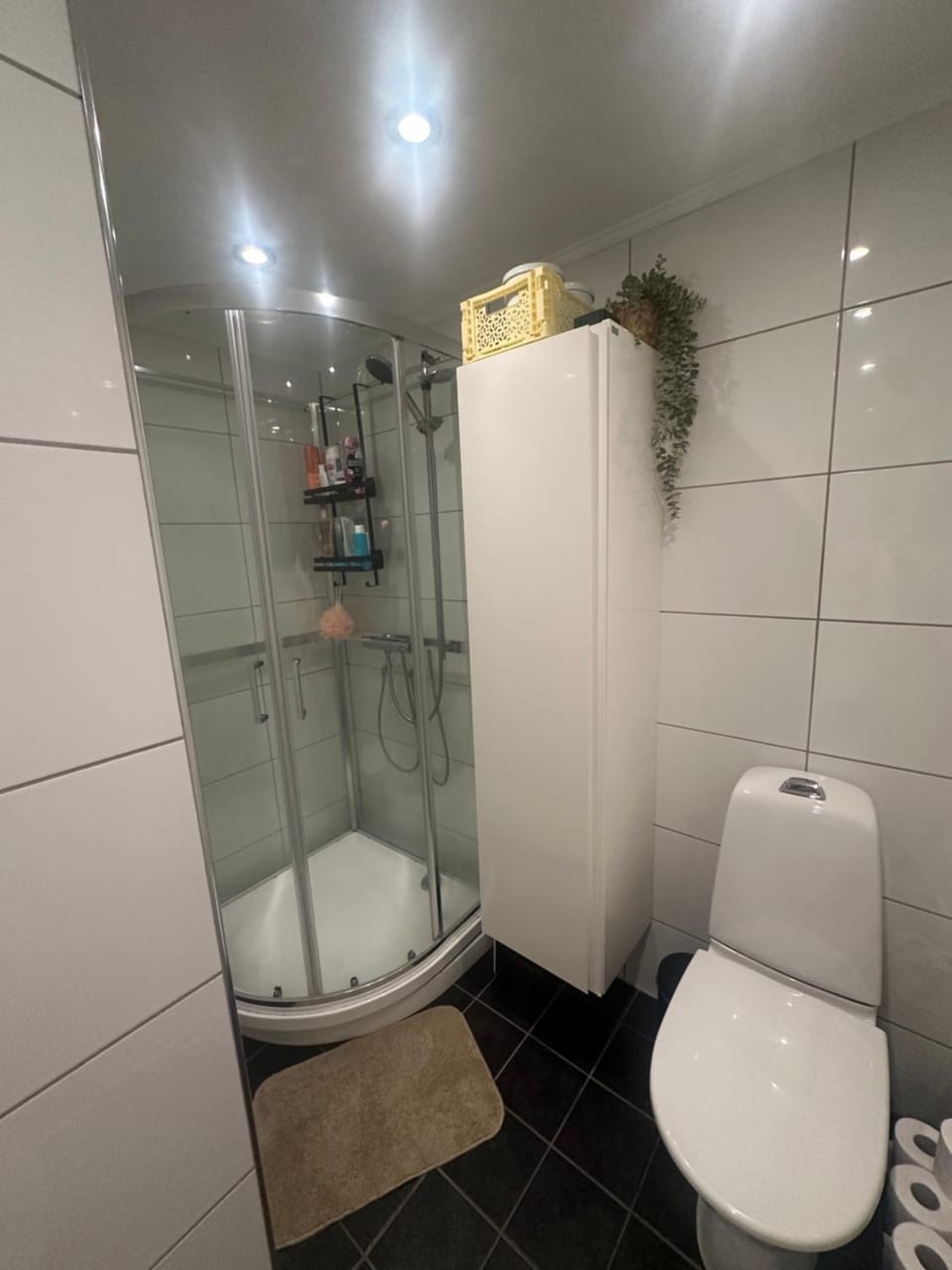Sentral, oppusset leilighet midt i Oslo Apartment in Oslo