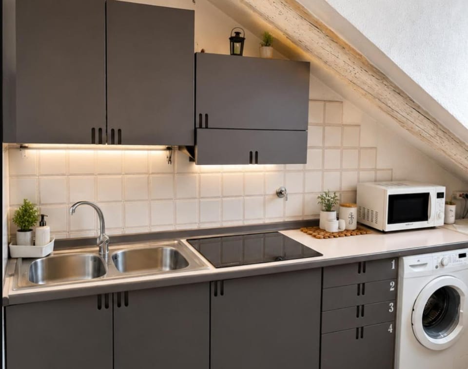Urban center Apartment in Turin