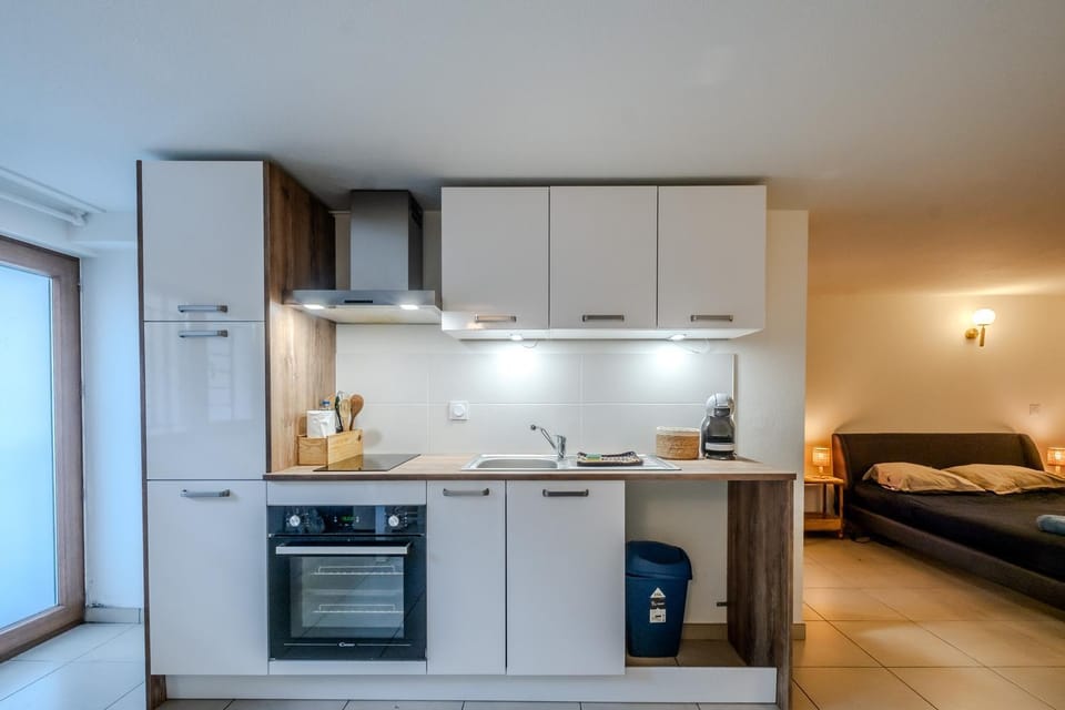 Studio Bacchus Apartment in Thonon-les-Bains