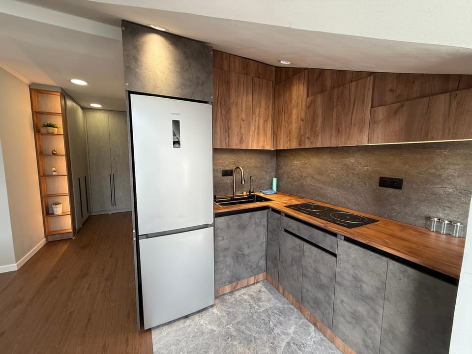 Kitchen or kitchenette, kitchen, kitchen