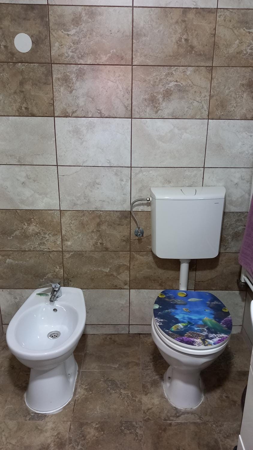 Casa Stefan Apartment in Romania