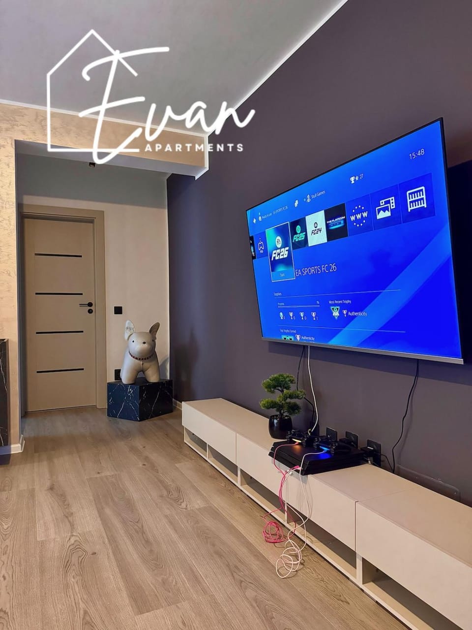 TV and multimedia