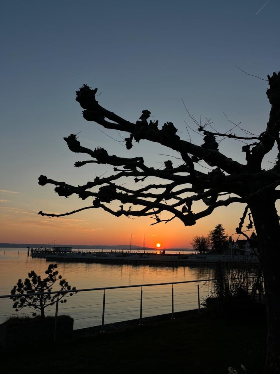 Garden, Sunset