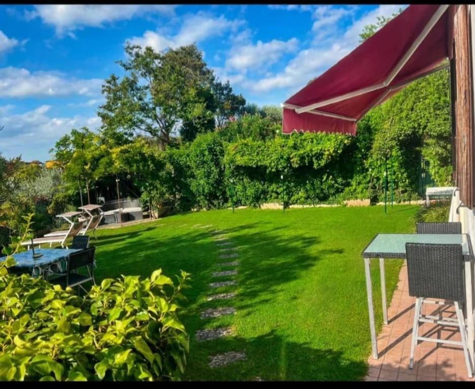 Natural landscape, Garden, Garden view, sunbed