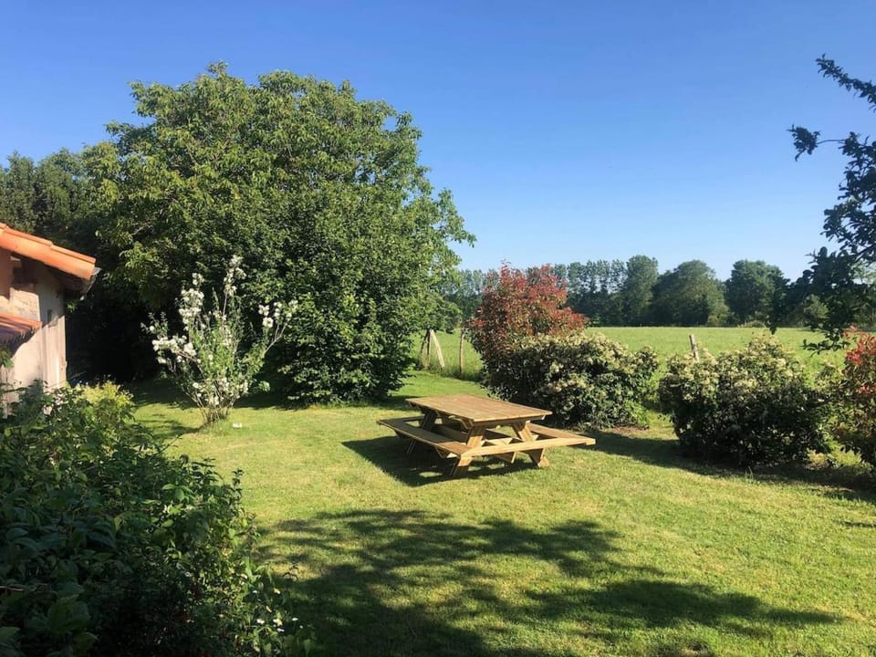 Spring, Day, Natural landscape, Garden, Garden view