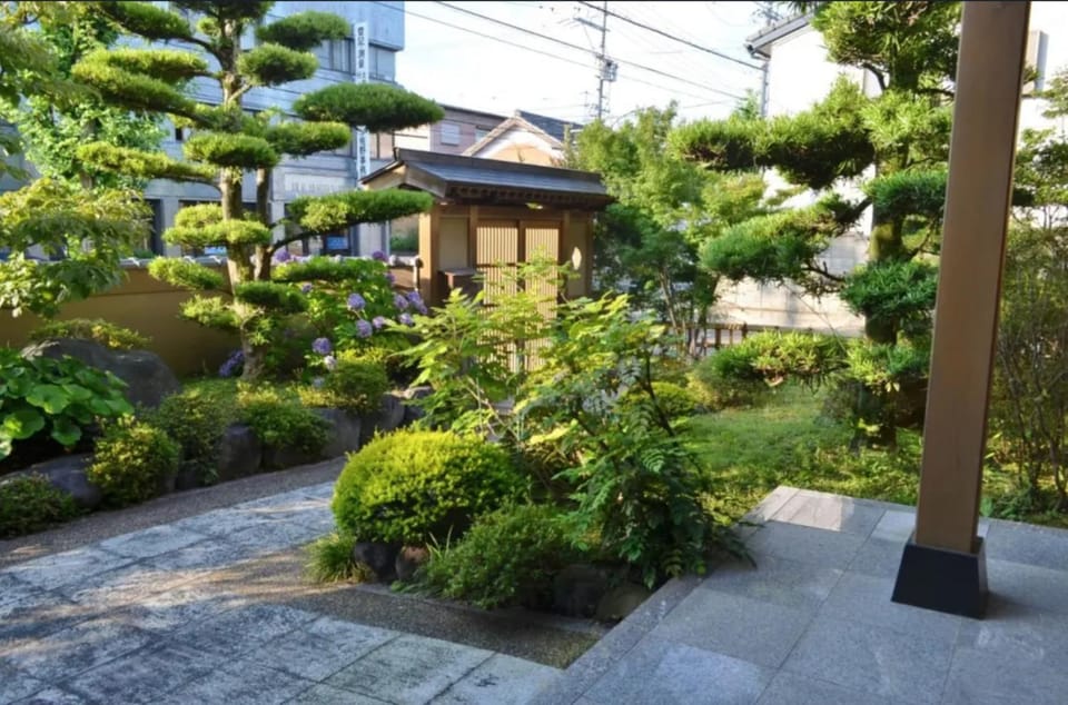 Day, Garden, Garden view