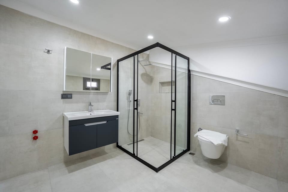 Shower, Toilet, towels