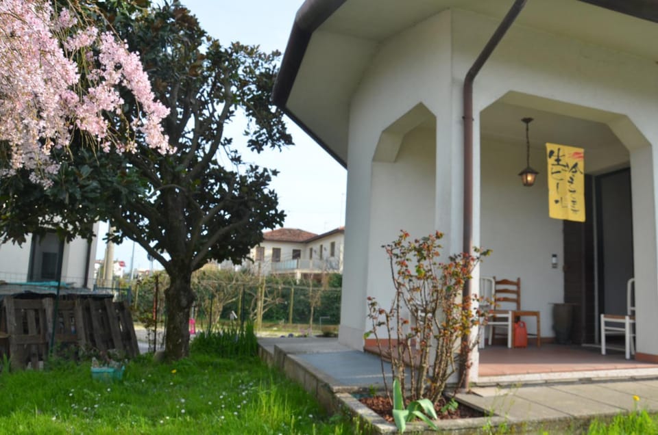 Property building, Spring, Day, Garden, Garden view