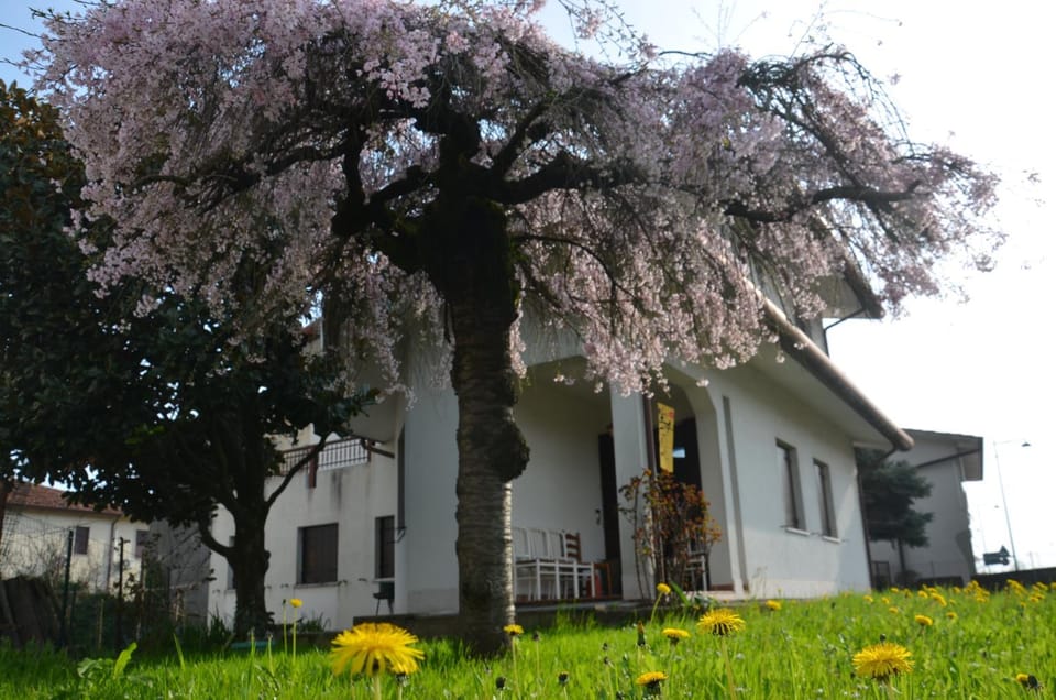 Property building, Communal lounge/ TV room, Spring, Day, Natural landscape, Garden, Garden view