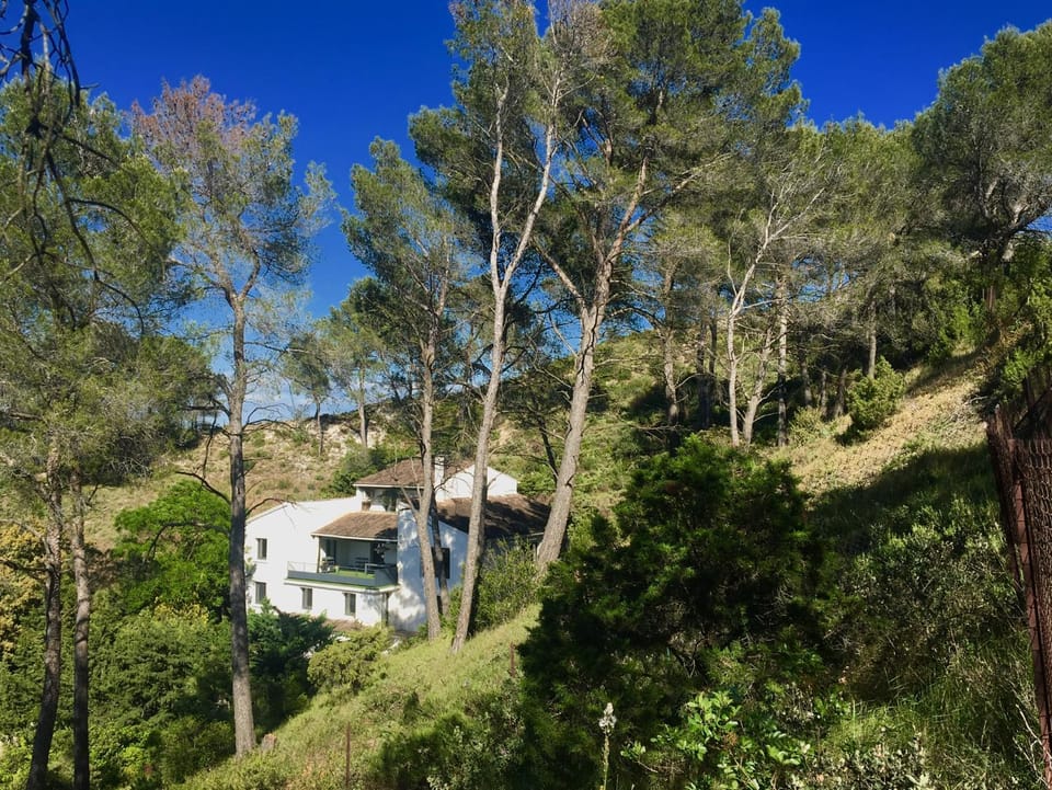 Property building, Natural landscape