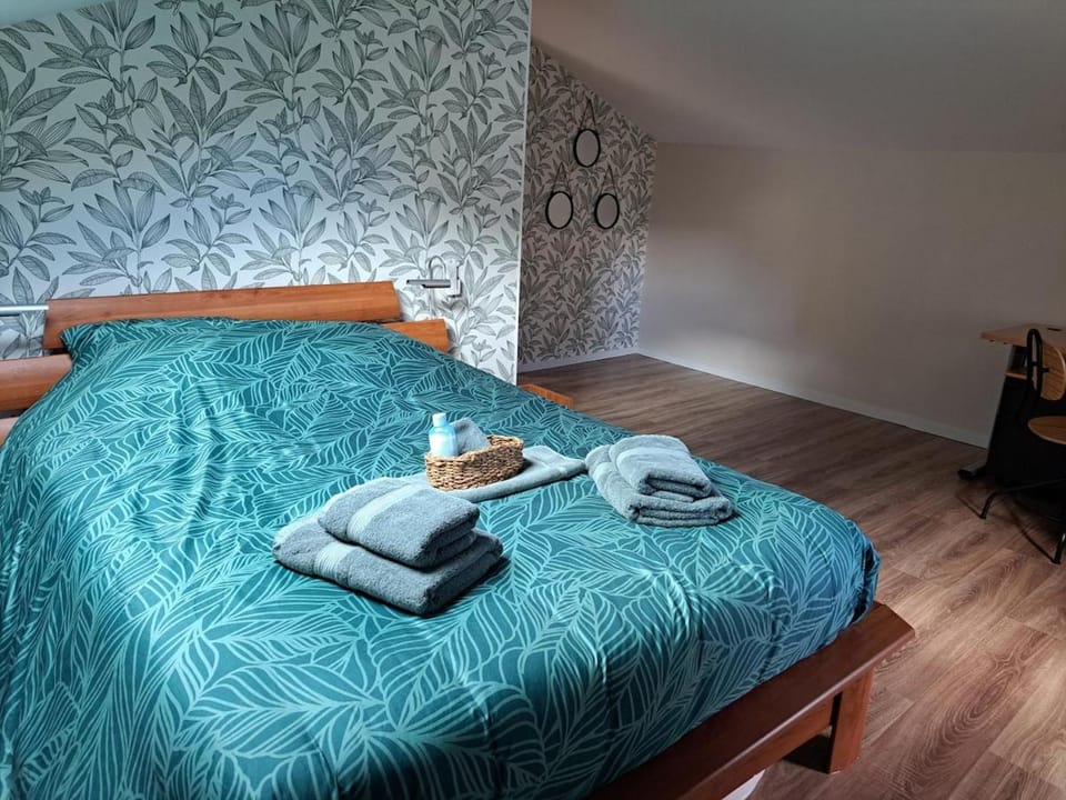 Maison spacieuse et chaleureuse au centre ville Apartment in Auvergne-Rhône-Alpes