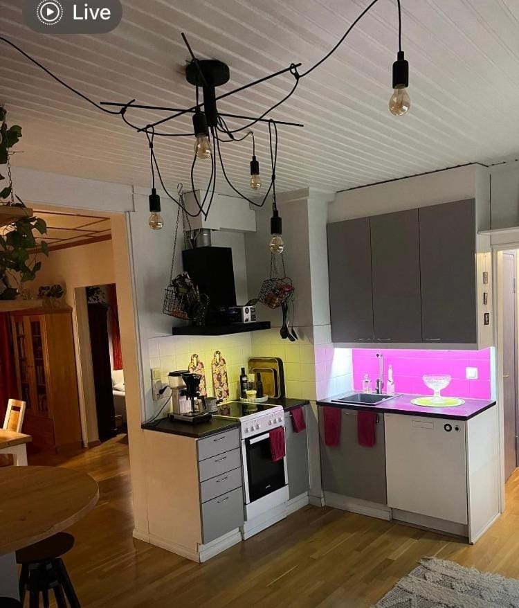 Omakotitalo Harjun vieressä aivan keskustassa Apartment in Finland