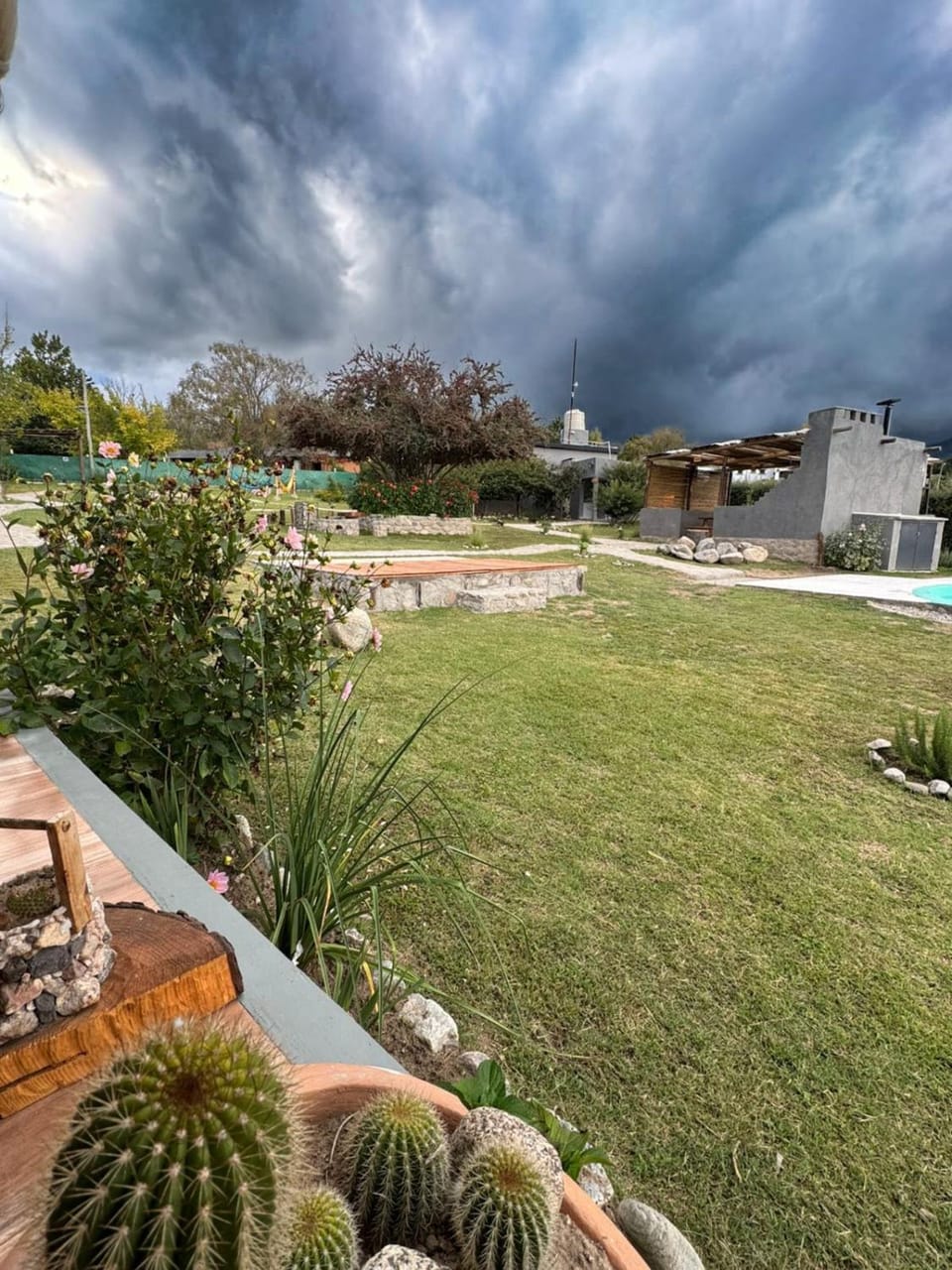 View (from property/room), Garden view
