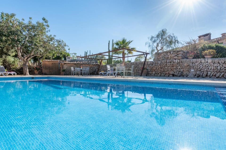 Day, Pool view, Swimming pool, sunbed